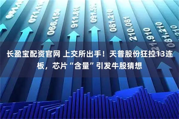 长盈宝配资官网 上交所出手！天普股份狂拉13连板，芯片“含量”引发牛股猜想