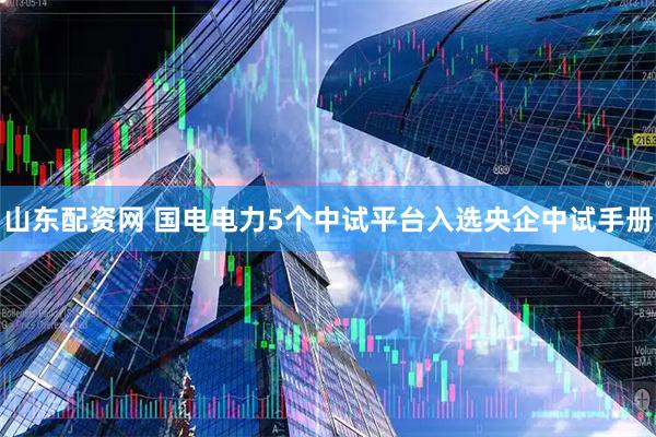 山东配资网 国电电力5个中试平台入选央企中试手册