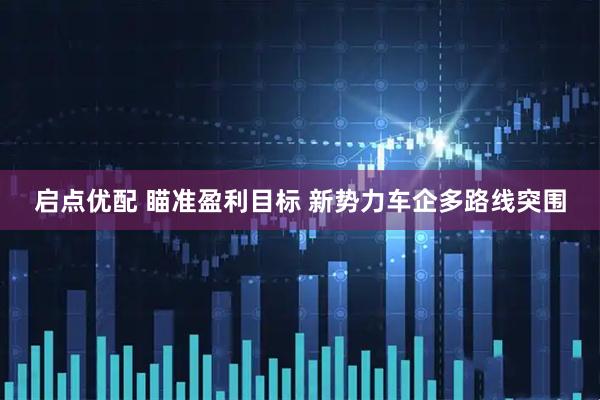 启点优配 瞄准盈利目标 新势力车企多路线突围