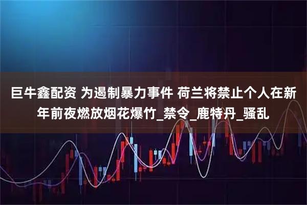 巨牛鑫配资 为遏制暴力事件 荷兰将禁止个人在新年前夜燃放烟花爆竹_禁令_鹿特丹_骚乱